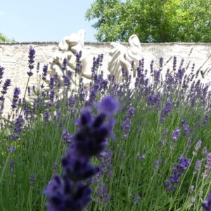 A kitelepítési emlékmű